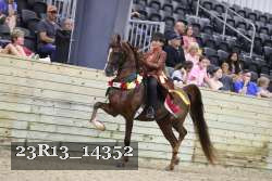 23R13_14352 thumbnail