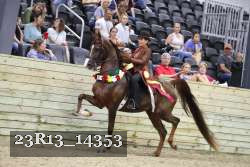23R13_14353 thumbnail
