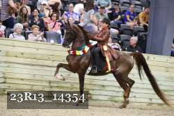 23R13_14354 thumbnail