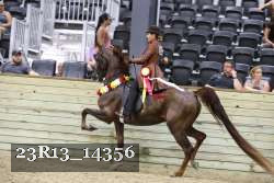 23R13_14356 thumbnail