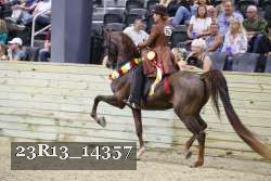 23R13_14357 thumbnail
