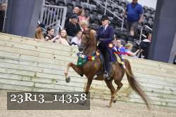 23R13_14358 thumbnail