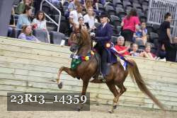 23R13_14359 thumbnail