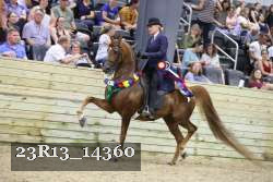 23R13_14360 thumbnail