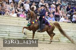 23R13_14361 thumbnail