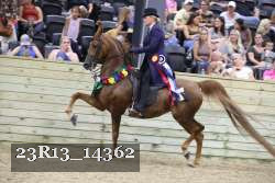 23R13_14362 thumbnail