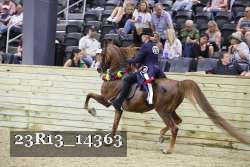 23R13_14363 thumbnail