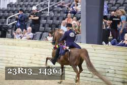 23R13_14364 thumbnail