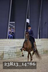 23R13_14786 thumbnail
