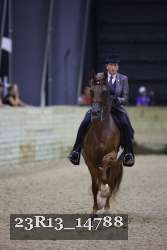 23R13_14788 thumbnail