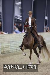 23R13_14793 thumbnail