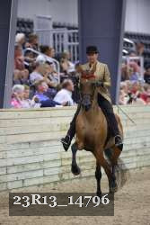 23R13_14796 thumbnail