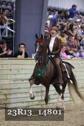 23R13_14801 thumbnail