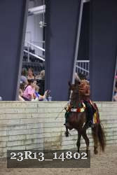 23R13_14802 thumbnail