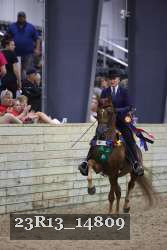 23R13_14809 thumbnail