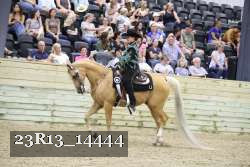 23R13_14444 thumbnail