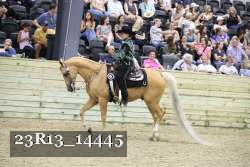 23R13_14445 thumbnail
