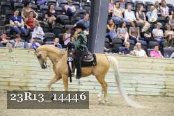 23R13_14446 thumbnail