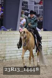 23R13_14448 thumbnail
