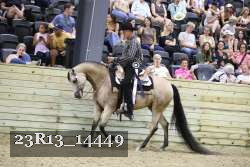 23R13_14449 thumbnail