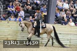 23R13_14450 thumbnail