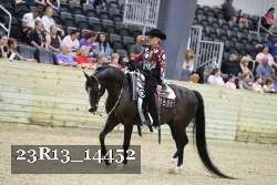 23R13_14452 thumbnail