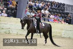 23R13_14453 thumbnail