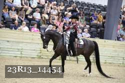 23R13_14454 thumbnail