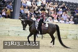 23R13_14455 thumbnail