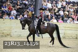 23R13_14456 thumbnail