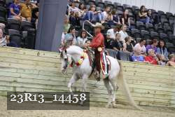 23R13_14458 thumbnail