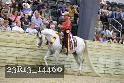 23R13_14460 thumbnail