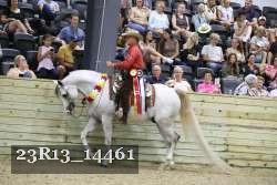 23R13_14461 thumbnail