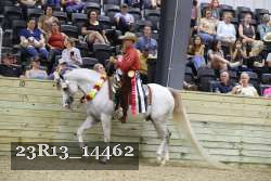 23R13_14462 thumbnail