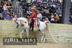 23R13_14463 thumbnail