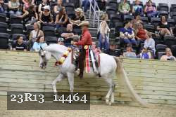 23R13_14464 thumbnail