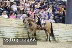 23R13_14466 thumbnail