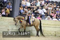 23R13_14467 thumbnail