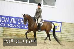 23R13_14501 thumbnail