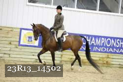 23R13_14502 thumbnail
