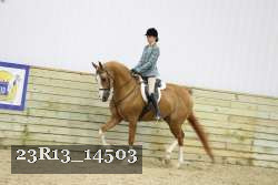 23R13_14503 thumbnail
