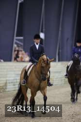 23R13_14504 thumbnail