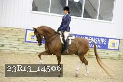 23R13_14506 thumbnail