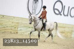 23R13_14509 thumbnail