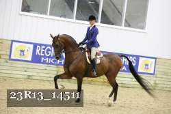 23R13_14511 thumbnail