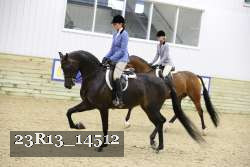23R13_14512 thumbnail