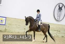 23R13_14513 thumbnail