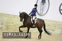 23R13_14516 thumbnail