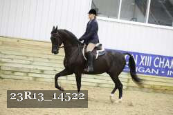 23R13_14522 thumbnail
