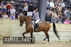23R13_14571 thumbnail
